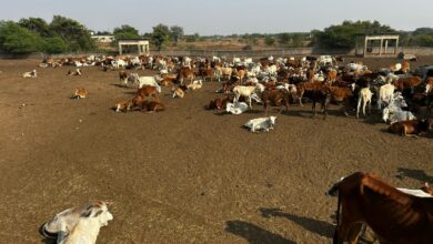 IMG 20251115 WA0525 Console Corptech