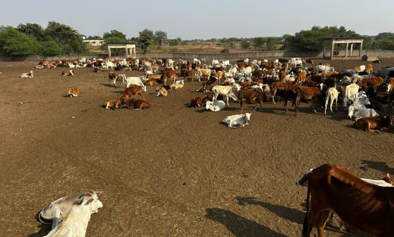 IMG 20251115 WA0525 Console Corptech