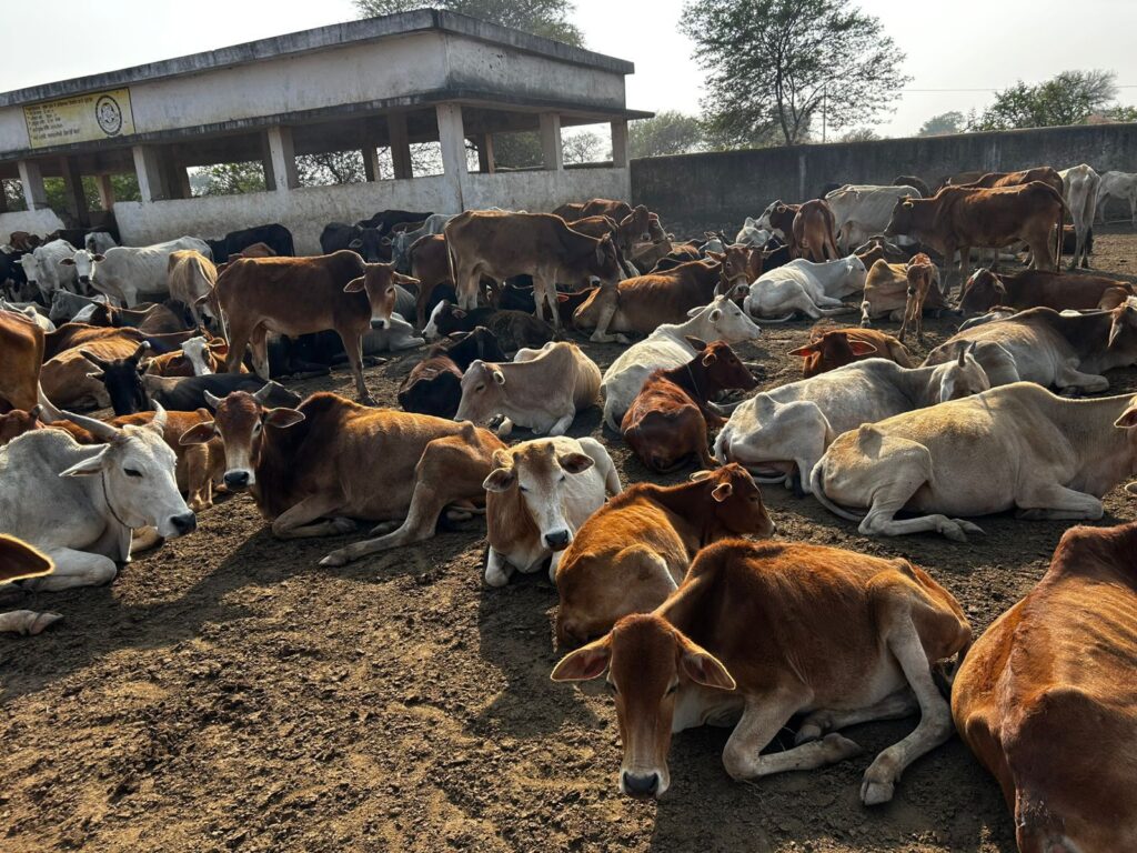 img 20251115 wa05305973587270919947437 Console Corptech