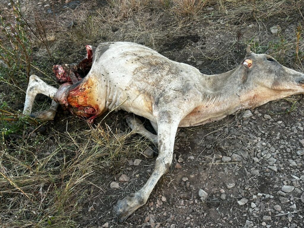 img 20251115 wa06468450794663847316866 Console Corptech