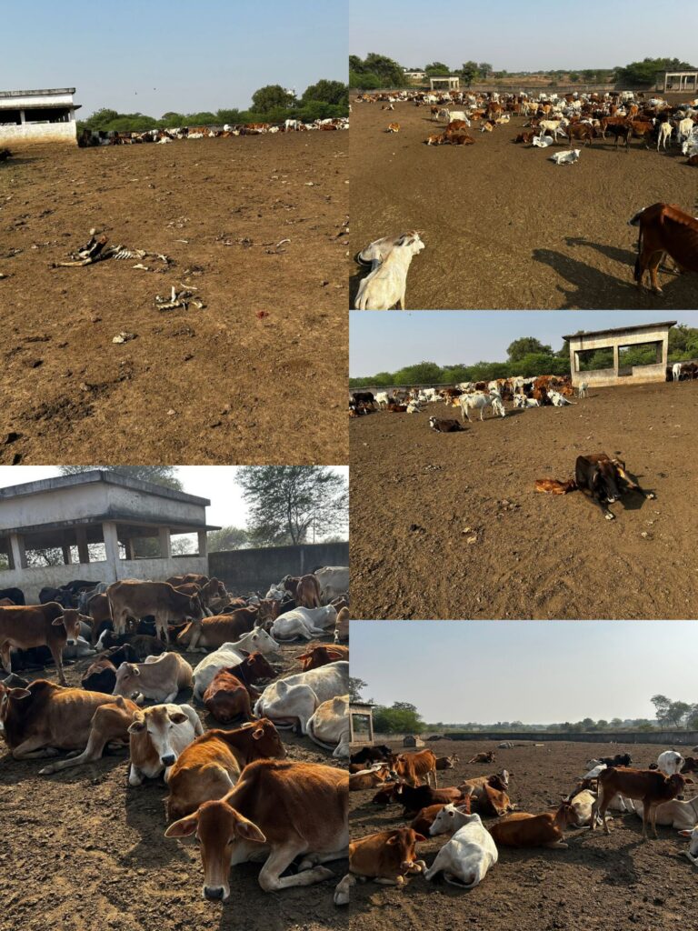 img 20251115 1608044679602521372266997 Console Corptech