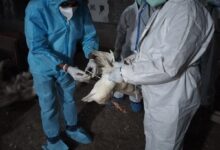 IMG 20260325 WA0748 Console Corptech