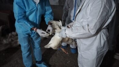 IMG 20260325 WA0748 Console Corptech