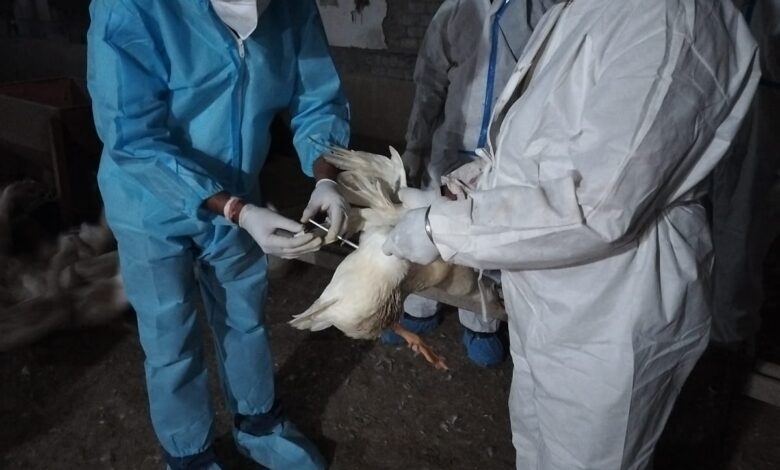 IMG 20260325 WA0748 Console Corptech