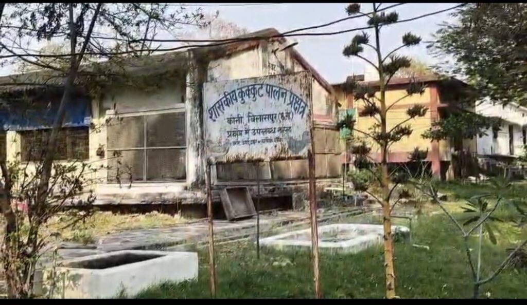 img 20260324 wa06162645710031362868936 Console Corptech